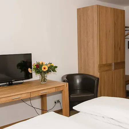 酒店 德纽酒店 3*