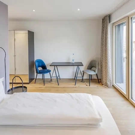 酒店 德纽酒店 3*